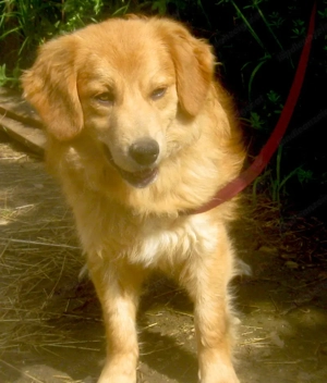 Rory möchte Teil IHRER Familie werden - NOTFALL Bild 2