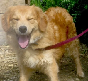 Rory möchte Teil IHRER Familie werden - NOTFALL Bild 6