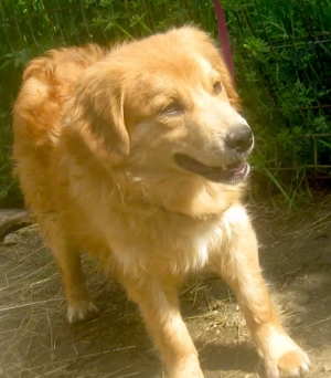 Rory möchte Teil IHRER Familie werden - NOTFALL Bild 9