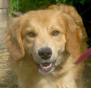 Rory möchte Teil IHRER Familie werden - NOTFALL Bild 10