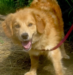 Rory möchte Teil IHRER Familie werden - NOTFALL Bild 8