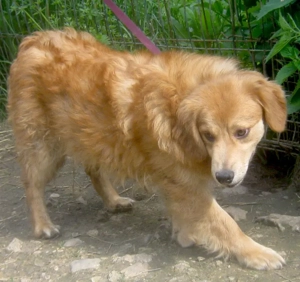 Rory möchte Teil IHRER Familie werden - NOTFALL Bild 7