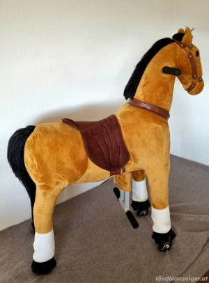 Spielpferd Bild 4