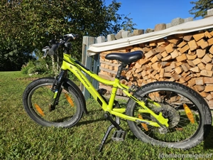 Kinderfahrrad 20 Zoll Genesis Evolution Team Bild 3
