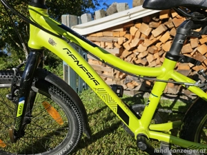 Kinderfahrrad 20 Zoll Genesis Evolution Team Bild 4