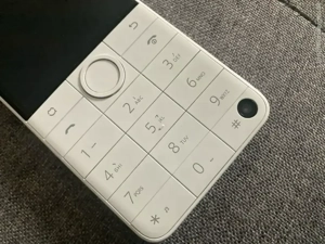 Qin f22 Pro mit Android, Weiß Dumbhone Bild 4