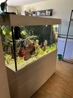 Aquarium 130x60x70 550L