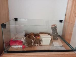 Hamster Käfig mit Zubehör Bild 3