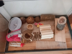Hamster Käfig mit Zubehör Bild 2