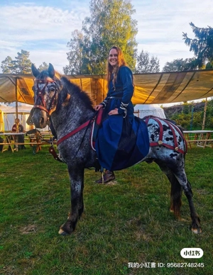 Reiter sucht Pferd nähe Salzburg Bild 3