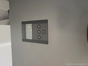 Pellett-Ofen (Haas u.Sohn) Bild 2