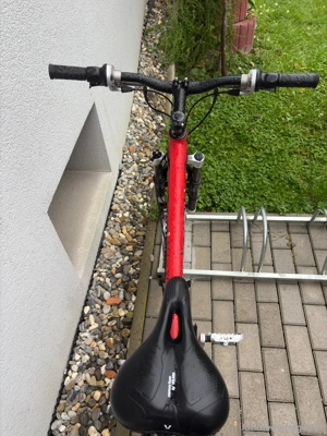 Mountainbike KRAFT P-Star XC   unbenutzt Bild 3