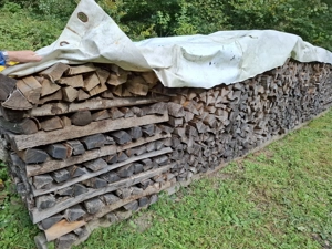 Brennholz hart, Esche, trocken