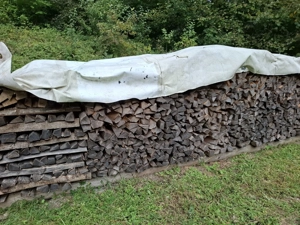 Brennholz hart, Esche, trocken Bild 3