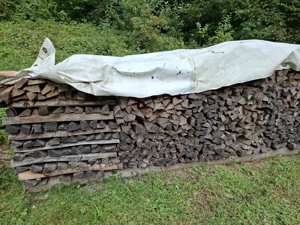 Brennholz hart, Esche, trocken Bild 2