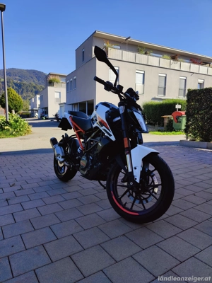KTM duke 125 Bild 2