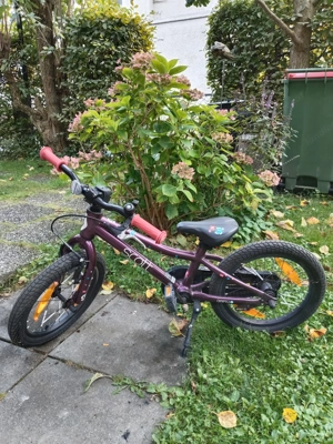 Kinderfahrrad Scott 16 Bild 2