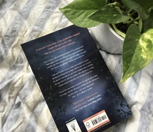 Wish of the wicked a faire godmothers novel Bild 2