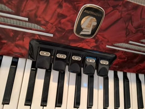 Akkordeon Weltmeister