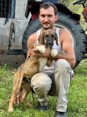 Boy und Belly suchen gemeinsames Zuhause Bild 2