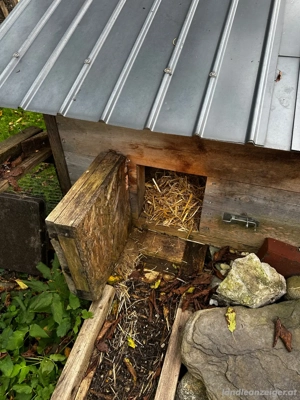 Stall für Kleintiere Bild 7