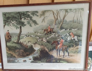 Bilderserie Foxhunting Bild 3