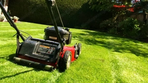   Benötigen Sie Hilfe?  Der Herbst ist da   Zeit, den Garten fit für den Winter zu machen!   Bild 6