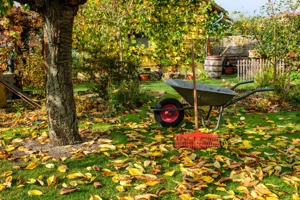  Der Herbst ist da   Zeit, den Garten fit für den Winter zu machen!  Bild 4