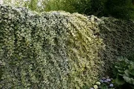   Benötigen Sie Hilfe?  Der Herbst ist da   Zeit, den Garten fit für den Winter zu machen!   Bild 4