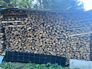 Brennholz 