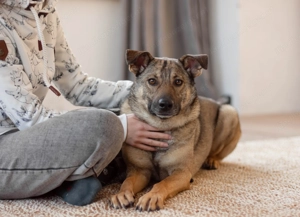 Hübscher Mickey braucht liebe