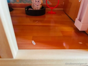 Barbie  Puppen Haus Bild 3