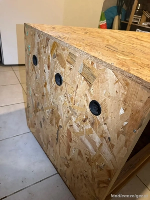 Gut erhaltenes Terrarium Bild 4