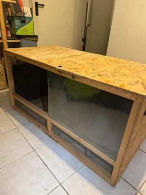 Gut erhaltenes Terrarium Bild 3