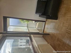 WG Zimmer zu vermieten in Wolfurt  Bild 5