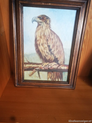 Bilder selbst gemalt  Bild 3