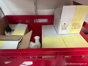 Geschirr, Kaffeeservice Bild 2