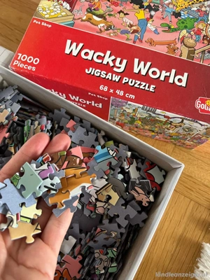 5 Puzzles versch Marken set sammlung Bild 4