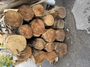 Robinienholz aus Europa Bild 3