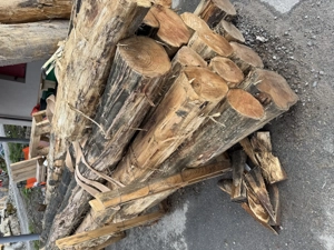 Robinienholz aus Europa Bild 2