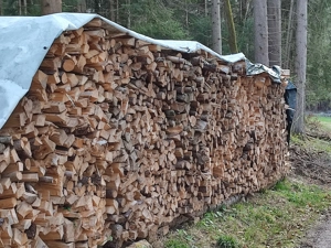 Brennholz Fichte 