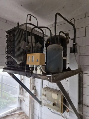 Verkaufe Milchtank mit Kühlung Bild 4