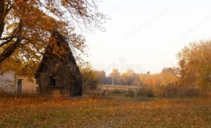 Wir suchen ein Zuhause für uns 3!