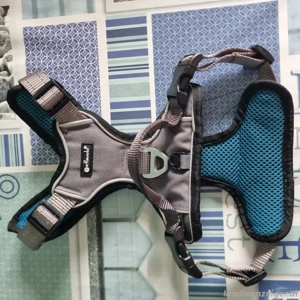 Marken Hundegeschirr Petlando Outdoor Hamess Größe S Bild 3