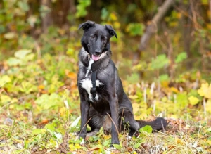 Wunderschöne Jasmine mochte geliebt werden Bild 4