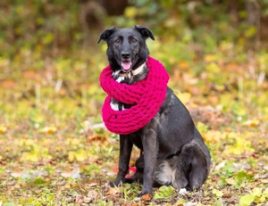 Wunderschöne Jasmine mochte geliebt werden Bild 5
