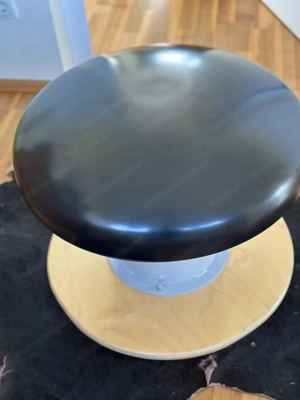 Turnpilz (Spieth) Bild 3