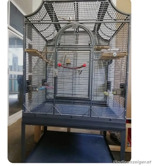 Vogelkäfig 