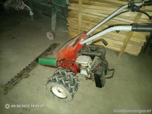 Motormäher Bucher S60