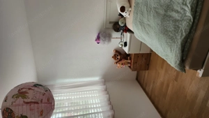 Traumhafte, helle 4 Zimmer Gartenwohnung in Dornbirn Bild 5